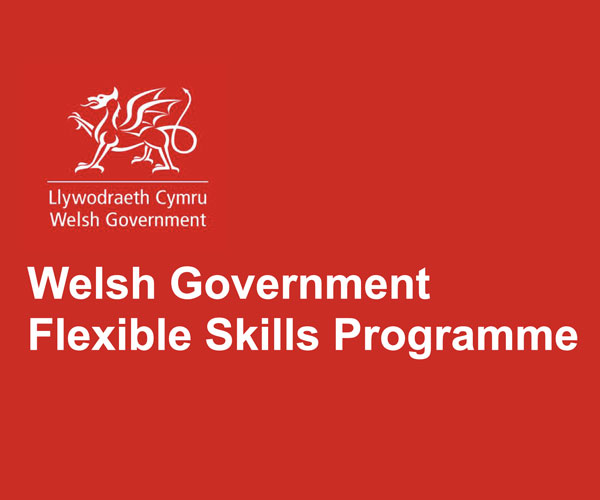 WG-flexible-skills